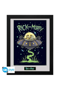 Rick And Morty - Framed Print Ship (300)