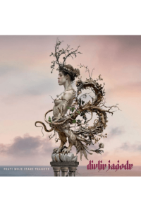 Prati moje stare tragove