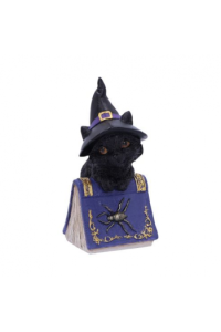 Nemesis Now Pocus 12,7cm