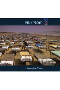 A Momentary Lapse of Reason