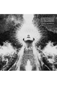 Animals on Display - 12