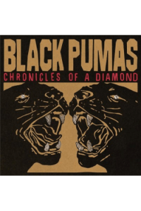 Chronicles Of A Diamond