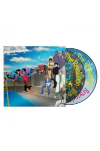 Around The World In A Day