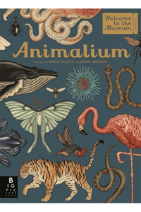 Animalium