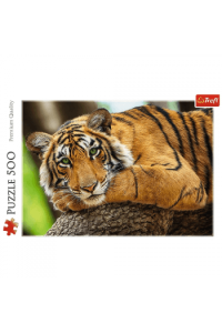 Trefl Puzzle Tigar, 500 Kom 37397