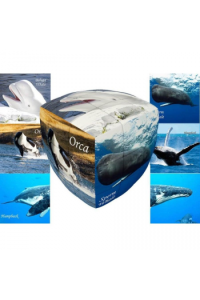 V-Cube 3X3 Pillow: Whales
