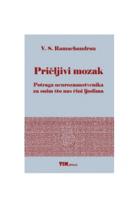 Pričljivi mozaik