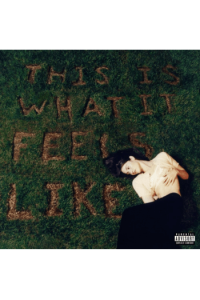 This Is What It Feels Like