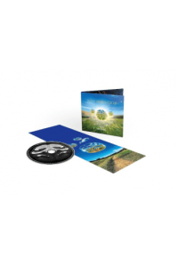 Metallic Spheres In Colour