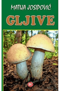 Gljive