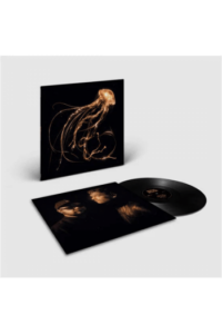 Back To The Water Below (Black vinyl)