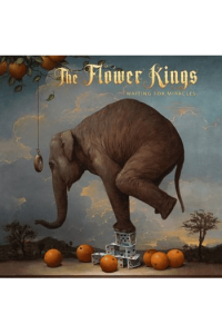 Waiting For Miracles