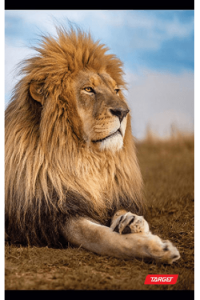 Bilježnica A4 crte b.r. Target Animal 26898