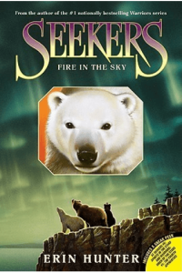 Seekers #5: Fire In The Sky