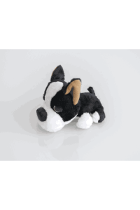 Francuski bulldog  15cm