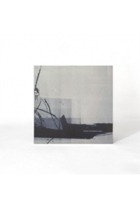 Second Toughest In The Infants