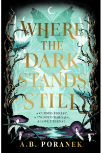 Where the Dark Stands Still