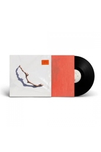 I Inside The Old Year Dying LP