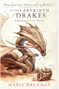 In The Labyrinth Of Drakes