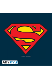 DC Comics - Sport Bag Superman - White Blue