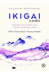 Ikigai U Praksi