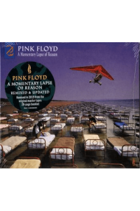 A Momentary Lapse Of Reason