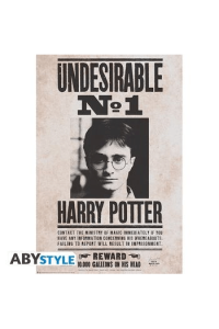 Harry Potter Poster Undesirable n°1 (91.5x61cm)