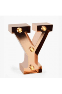 Mini lampica slovo Y