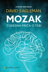 Mozak: Čudesna priča o tebi