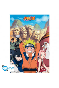 Naruto - Poster Maxi 91.5X61 - Group
