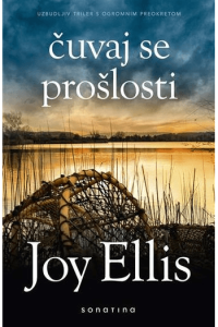 Knjiga Čuvaj se prošlosti - naslovnica