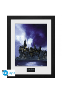 Harry Potter - Framed Print Hogwarts Painted (300)