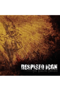 The Healing Process ( reissue 2022)