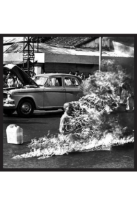 XX (20th anniv.edition)