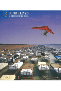 A Momentary Lapse Of Reason