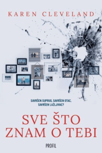 Sve što znam o tebi