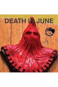 Essence Picture Vinyl