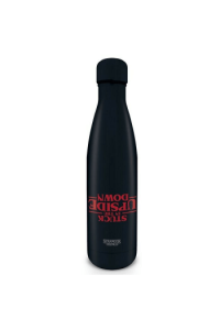 Pyramid Stranger Things Metal Drinks Bottle