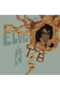 Elvis At Stax