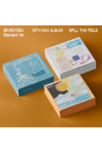 Seventeen [12Th Mini Album] [Feel You Ver. (Orange)]