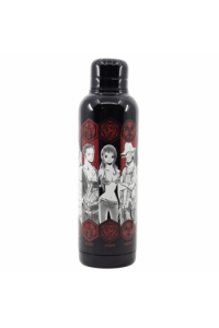 Stor Botella Termo Acero Inoxidable 515 ml One Piece Young Adult