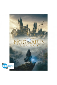 Harry Potter - Poster Hogwarts Legacy Key Art (91.5X61)