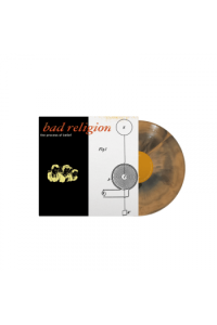 The Process Of Belief