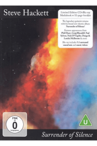 Surrender Of Silence