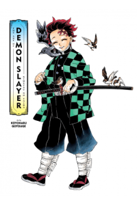 Art of Demon Slayer: Kimetsu no Yaiba