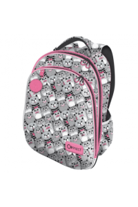 Ruksak školski anatomski lagan XT Cat 22.Connect