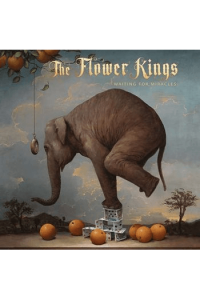 Waiting For Miracles