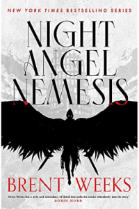 Night Angel Nemesis