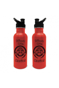 Pyramid Nintendo (Mario) Metal Canteen Bottle