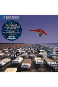 A Momentary Lapse Of Reason